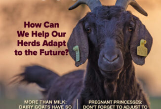 Goat Journal Digital Issue 17